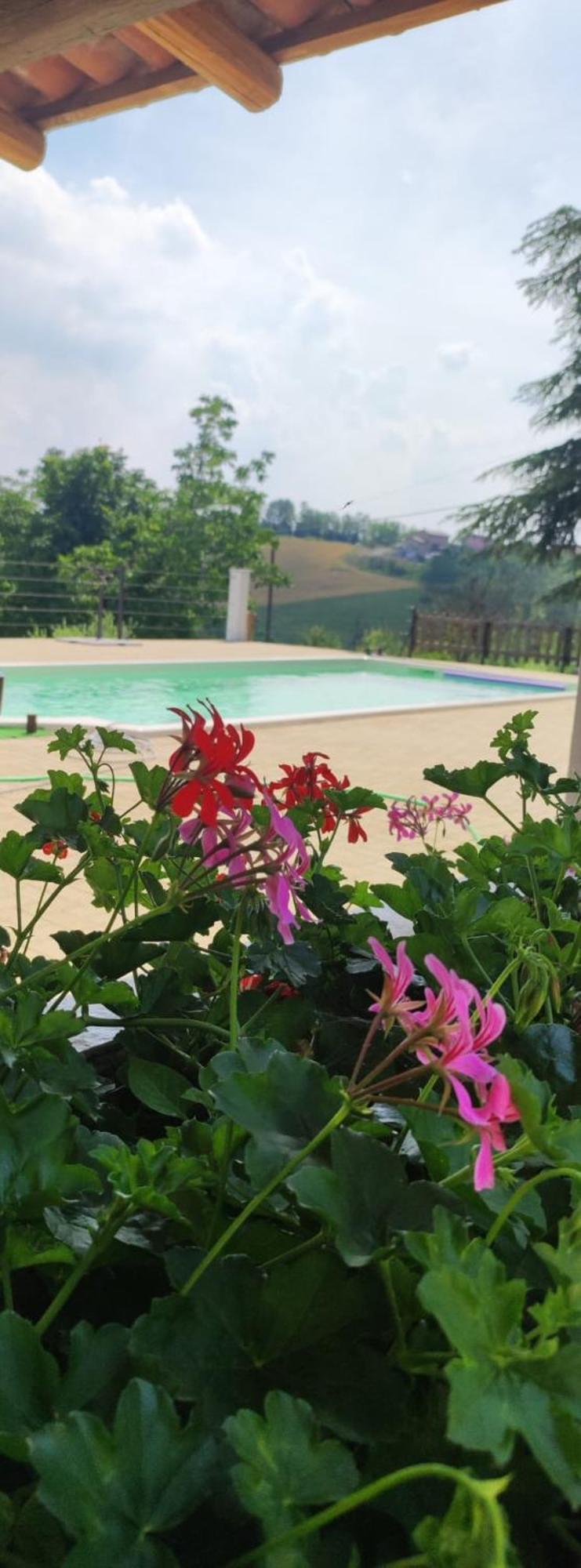 Apartamento Cascina Pelizza Casale Monferrato Exterior foto